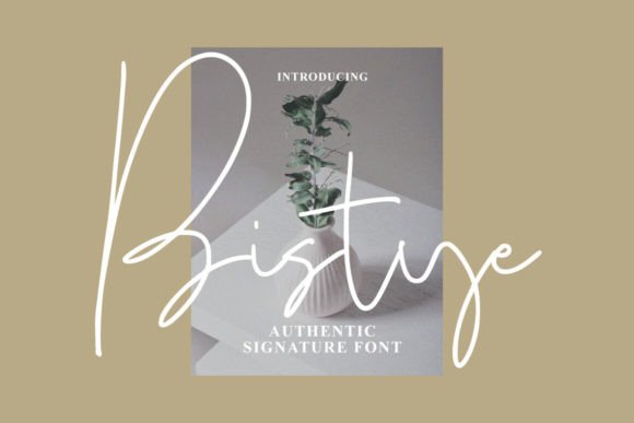 Bistye: A Script Amp That Feels Like a Handshake