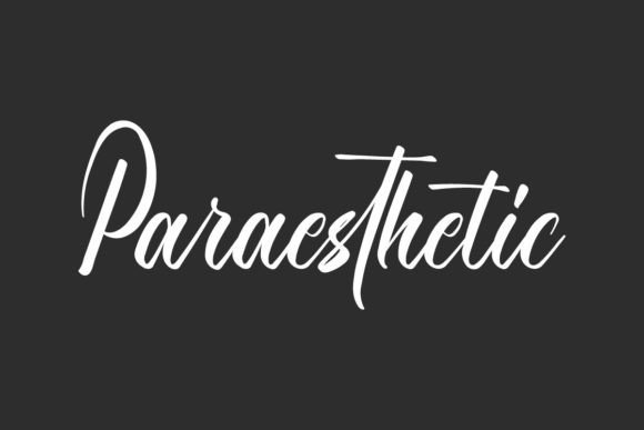 Paraesthetic: A Dreamy Script Font for Handmade Creators