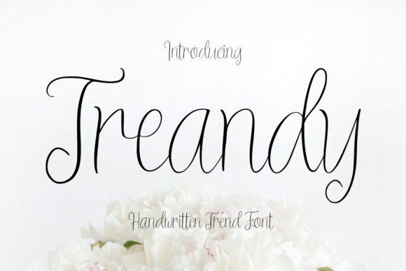 Treandy Script Font for Modern Web Design